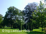 Nový Jičín, Smetanovy sady