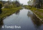 Lubina