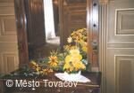 Zámek Tovačov