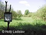 Naučná stezka KOTVICE