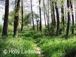 Naučná stezka KOTVICE