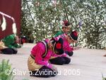 Mezinárodní folklorní festival Slavnosti pod Zvičinou
