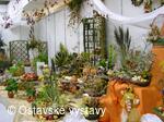 život na zahradě 2005