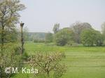 Petřvald