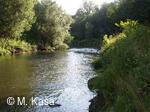 Petřvald