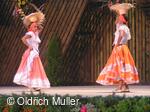 Mezinárodní folklorní festival Liptálské slavnosti
