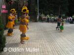 Mezinárodní folklorní festival Liptálské slavnosti