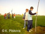 Petřvald