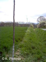Petřvald