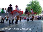 Adámkovy folklorní slavnosti