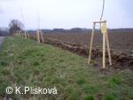Petřvald