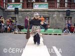 Slet čarodějnic u Perníkové chaloupky 2008