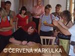Sousedské slavnosti 2008
