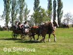 Hubertova jízda