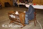 Petřvald