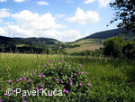 Bílé Karpaty, Lopeník, Lopenické sedlo