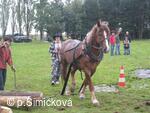 Hubertova jízda