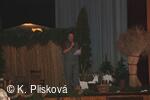 Petřvald