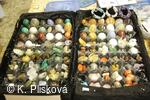 Obecní knihovna Petřvald