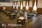 Oddíl ZRTV "HOLKI SOKOLKI"