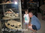 TJ Sokol Bělotín