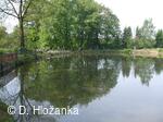 Petřvald