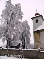sněhová krása