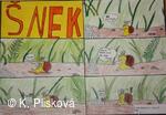 Obecní knihovna v Petřvaldě - knihovna, kde jste doma!